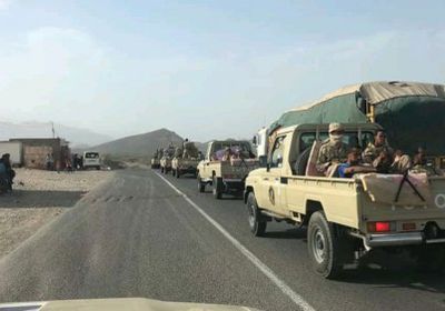 شطارة: استعادة الجنوب يتطلب معالجة الأخطاء