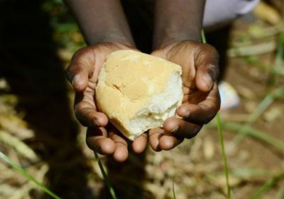 منظمة أممية تحذر: 52 مليونا يعانون نقص التغذية بالشرق الأدنى وشمال أفريقيا
