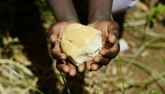 منظمة أممية تحذر: 52 مليونا يعانون نقص التغذية بالشرق الأدنى وشمال أفريقيا