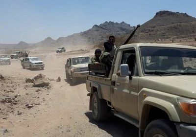 محافظ الضالع: الأيام المقبلة ستكون حاسمة في كل الجبهات القتالية