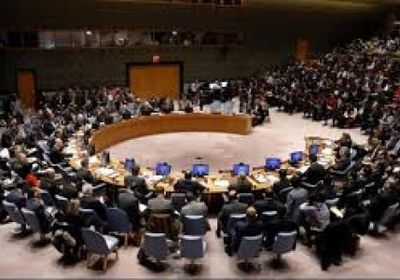 سياسي ينتقد مجلس الأمن بسبب سوريا واليمن (تفاصيل) 