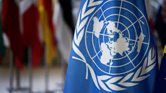 سياسي يُطالب الأمم المتحدة برفع الغطاء عن الحوثي