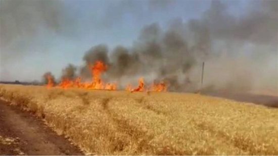خبير عراقي: "الدواعش حرقوا المحاصيل الزراعية لأخذ إتاوات من المزارعين"