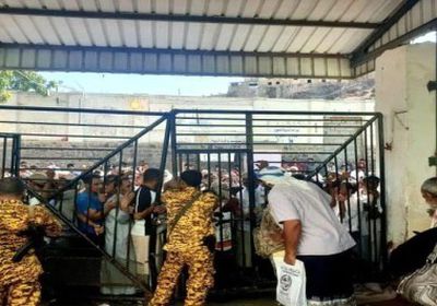 مصادر: نفاذ جوازات السفر من مكاتب الهجرة بعدن 