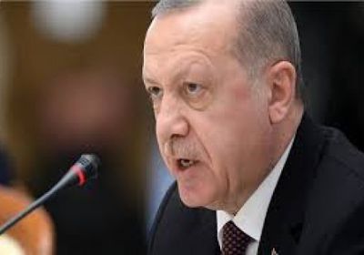 أردوغان يدعم الحوثيين (فيديو)