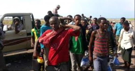 إحباط تهريب 200 مهاجر غير شرعي في أبين