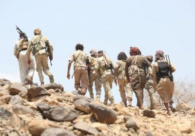 الجمل: نشر أسماء شهداء وجرحى الجنوب يفيد العدو في تقييم عملياته العسكرية