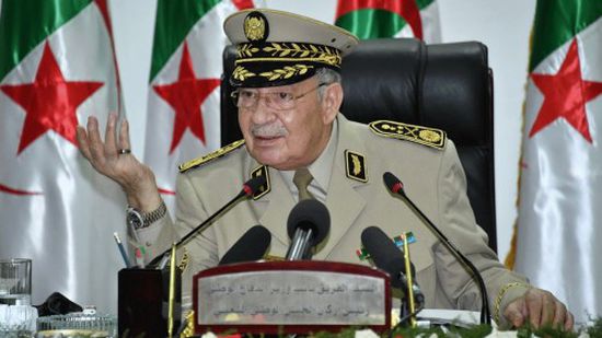قائد الجيش الجزائري يندد بمن يطيلون أمد الأزمة