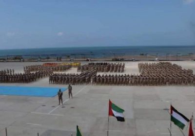 العميد منير أبو اليمامة : الألوية تأسست لدحر عصابات القاعدة وداعش والإخوان