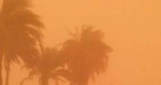 الهند: مصرع 19 شخصا وإصابة 48 آخرين بسبب العواصف الترابية