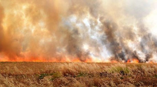 العراق يكشف السر وراء حرائق المحاصيل الزراعية