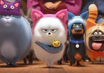 9 أغسطس.. عرض فيلم The Secret Life of Pets 2 في إسبانيا