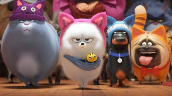 9 أغسطس.. عرض فيلم The Secret Life of Pets 2 في إسبانيا