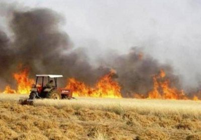 272 حادثا بسبب حرائق الأراضي الزراعية خلال شهر واحد بالعراق