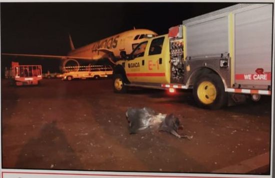 اللقطات الأولى لأضرار الاعتداء الحوثي على مطار أبها السعودي (صور)