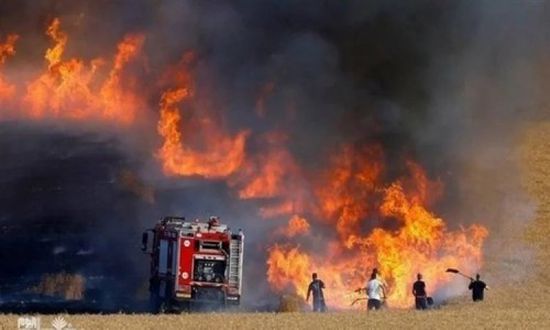 تونس: حصيلة حرائق الأراضي الزراعية بلغ 338 في 9 أيام