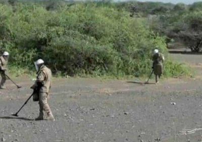 دراسة اقتصادية : ألغام المليشيات قضت على 38% من الأراضي الزراعية في سهل تهامة 