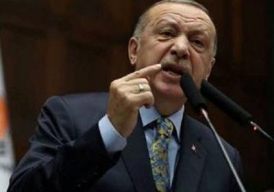 وزير الخارجية المصري: أردوغان يرغب في التغطية على تجاوزاته الداخلية 