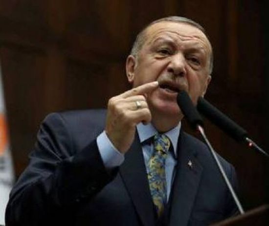 وزير الخارجية المصري: أردوغان يرغب في التغطية على تجاوزاته الداخلية 