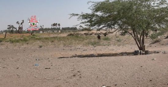 ألوية العمالقة تتصدى لهجوم حوثي بمنطقة الجبلية