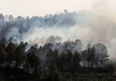 حرائق الغابات تجتاح إقليم كتالونيا الإسباني