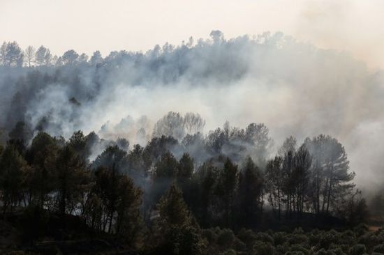 حرائق الغابات تجتاح إقليم كتالونيا الإسباني