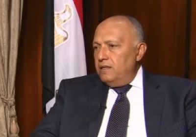 وزير الخارجية المصري يترأس فعّاليات المجلس التنفيذي للإتحاد الإفريقي 