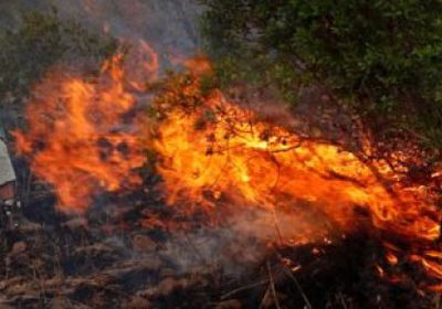السلطات اليونانية تخلي 4 قرى بجزيرة إيفيا جراء اندلاع حريقي غابات