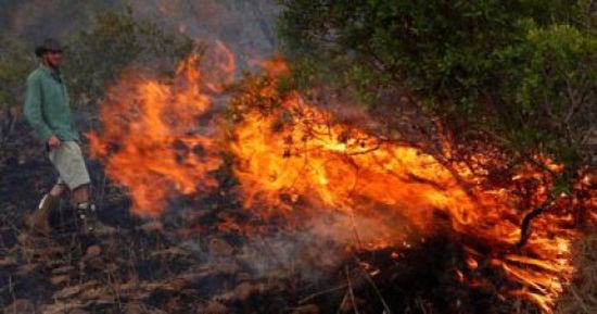 السلطات اليونانية تخلي 4 قرى بجزيرة إيفيا جراء اندلاع حريقي غابات