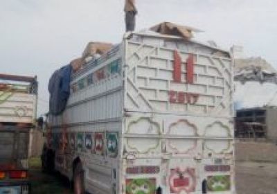 حزام لحج يحبط عملية تهريب لألعاب نارية ومبيدات سامة (صور)