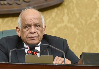 البرلمان المصري: لا علاقة بقانون الجنسية وصفقة القرن