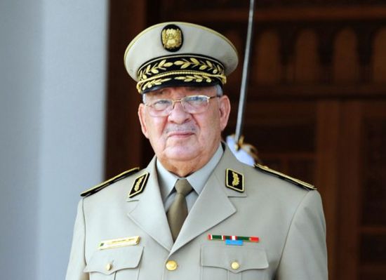 "صالح": الانتخابات الجزائرية تمثل مفتاحًا حقيقيًا لبناء دولة قوية