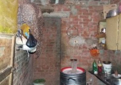 تقرير أممي: أفريقيا وجنوب آسيا تحتويان على أكبر نسبة من الفقراء فى العالم