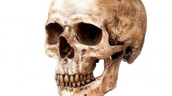 تعيد التفكير في أصول الإنسان.. العثور على جمجمة عمرها أكثر من 210 آلاف عام 