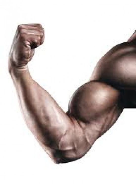 دراسة حديثة تحذر: مكملات بناء العضلات تهدد بالوفاة
