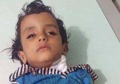 عاجل..إصابة طفل برصاص المليشيات في قرية الشغادر وسط حجر