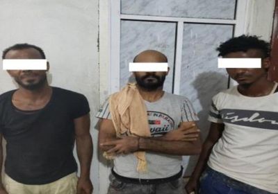 الحزام الأمني يلقي القبض على أكبر عصابة لترويج الحشيش بالمعلا