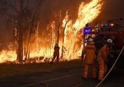 الرياح تتسبب في صعوبة إطفاء حريق غابات يجتاح البرتغال