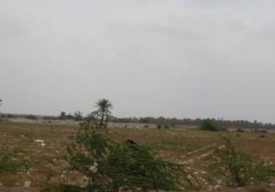 مليشيا الحوثي تعاود استهداف مواقع القوات المشتركة بالجبلية