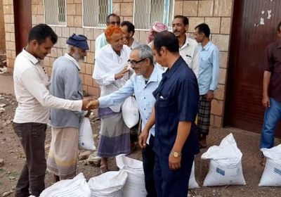 تدشين توزيع البذور المحسنة للمزارعين في مديرية جحاف بالضالع