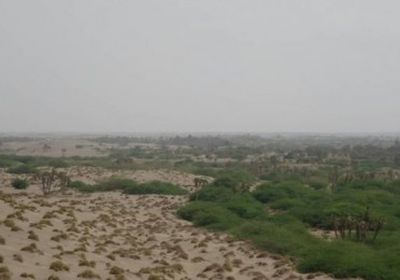 القوات المشتركة تتصدى لهجوم حوثي في الجبلية وتكبدهم خسائر فادحة 