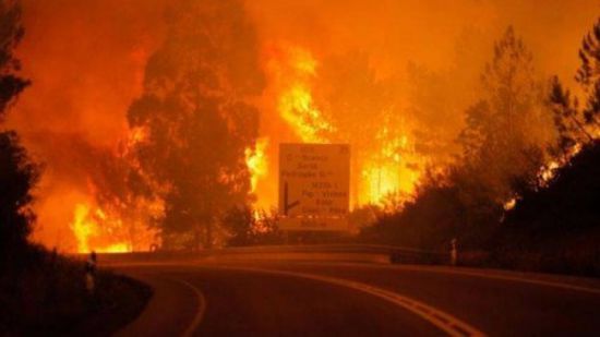 إخماد حرائق غابات في وسط البرتغال.. وإصابة 33 شخصًا