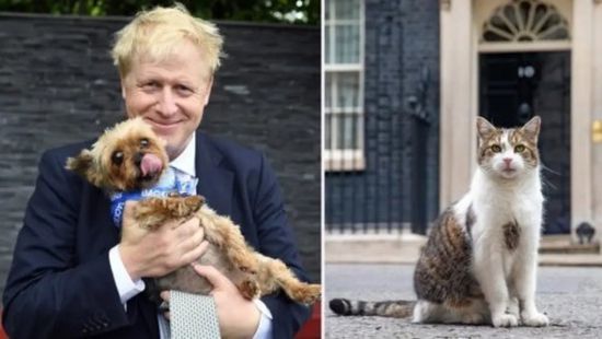 "جونسون" ينوي اقتناء كلب بمقر الحكومة البريطانية