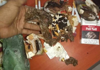 القبض على عصابة من متعاطي ومروجي المخدرات بالعاصمة عدن (صور)