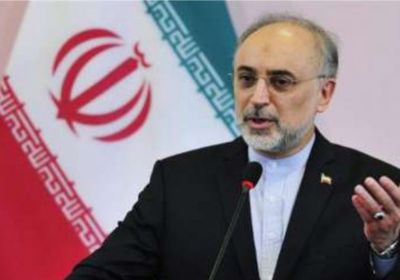  الخارجية الإيرانية: نرحب بكل الجهود الدولية لحل قضايا المنطقة