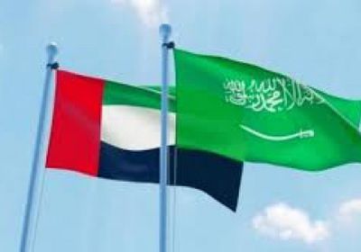 سياسي: السعودية والإمارات صمام الأمان للمنطقة العربية