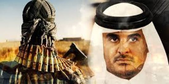 سياسي: قطر حلقة الوصل بين كل التنظيمات الإرهابية