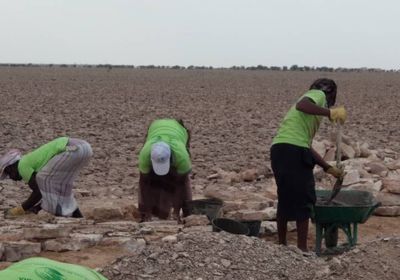 استكمال رصف طريق سنحور في مديرية الطلح بشبوة (صور)