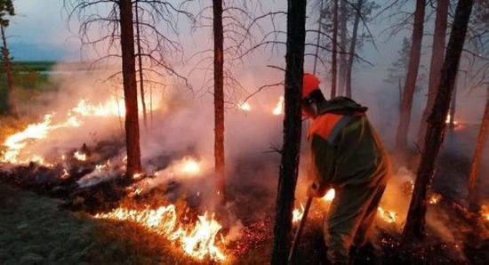 خسائرها تقدر بـ2.4 مليار روبل.. تعرف على السبب الرئيسي لحرائق سيبيريا