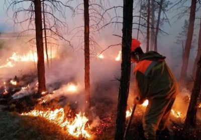 لإخفاء قطع الأشجار غير القانوني.. النيابة الروسية: حرائق غابات سيبيريا "مفتعلة"